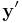  \mathbf{y}' 