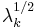 \lambda^{1/2}_k