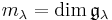 m_{\lambda}= \text{dim}\,\mathfrak{g}_{\lambda}