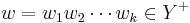 w = w_1w_2 \cdots w_k \in Y^%2B