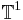 \mathbb{T}^1