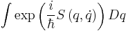   \int \exp\left( {i \over \hbar}  S\left( q, \dot q \right) \right ) Dq 