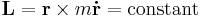 \mathbf{L} = \mathbf{r} \times m\mathbf{\dot{r}} = \text{constant}