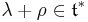 \lambda %2B \rho \in \mathfrak{t}^*