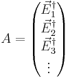 A = \begin{pmatrix} \vec E_1^\dagger \\ \vec E_2^\dagger \\ \vec E_3^\dagger \\ \vdots \end{pmatrix}