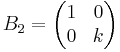  B_2 = \begin{pmatrix}
1 & 0 \\
0 & k
\end{pmatrix}