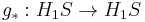 g_*�: H_1 S \to H_1 S