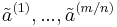 \tilde{a}^{(1)} , ... , \tilde{a}^{(m/n)}