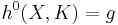 h^0(X,K)=g