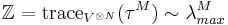 \mathbb{Z}= \operatorname{trace}_{V^{\otimes N}}(\tau^M)
\sim \lambda_{max}^M 