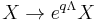 X \to e^{q\Lambda}X