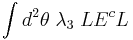 \int d^2 \theta\;  \lambda_3\; L E^cL  