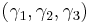 (\gamma_{1},\gamma_{2},\gamma_{3})\,