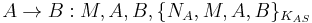 A \rightarrow B: M,A,B,\{N_A,M,A,B\}_{K_{AS}}