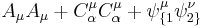 A_\mu A_\mu %2B C^{\mu}_\alpha C^{\mu}_\alpha %2B \psi_{\{1}^\mu \psi_{2\}}^\nu