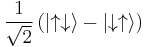 \frac{1}{\sqrt{2}}\left( \left|\uparrow \downarrow \right\rangle -  \left|\downarrow \uparrow \right\rangle\right)