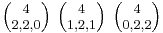 \textstyle {4\choose 2,2,0} \ {4\choose 1,2,1} \ {4\choose 0,2,2}