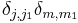 \delta_{j,j_1}\delta_{m,m_1}