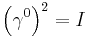 \left( \gamma^0 \right)^2 = I \,