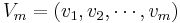 V_m = \left( v_1, v_2, \cdots, v_m \right)