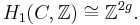 H_1(C, \mathbb{Z}) \cong \mathbb{Z}^{2g}.