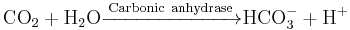 \rm CO_2 %2B H_2O \xrightarrow{Carbonic\ anhydrase} HCO_3^- %2B H^%2B