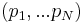 \left(p_{1},...p_{N}\right) 