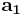 \mathbf{a_{1}}