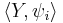 \langle Y, \psi_i\rangle