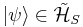 |\psi\rangle\in\mathcal{\tilde{H}}_{S}