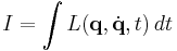 
I = \int L(\mathbf{q}, \dot{\mathbf{q}}, t) \, dt 
