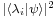 \scriptstyle|\lang\lambda_i|\psi\rang|^2