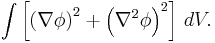 
\int\left[\left(\nabla\phi\right)^2%2B\left(\nabla^2\phi\right)^2\right]\,dV.
