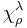 \chi^\lambda_\rho