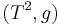 (T^2, g)