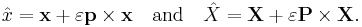 \hat{x}=\mathbf{x} %2B \varepsilon \mathbf{p}\times\mathbf{x}\quad\text{and}\quad\hat{X}=\mathbf{X} %2B \varepsilon \mathbf{P}\times\mathbf{X}.