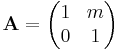 \mathbf{A}=\begin{pmatrix}1 & m\\ 0 & 1\end{pmatrix}