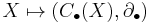 X\mapsto (C_\bullet(X),\partial_\bullet)