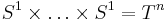 S^1\times\dots \times S^1=T^n