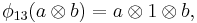 \phi_{13}(a \otimes b) = a \otimes 1 \otimes b,