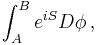  \int_A^B e^{iS} D\phi\,, 