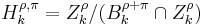 H_k^{\rho, \pi}=Z_k^\rho /(B_k^{\rho %2B \pi }\cap Z_k^\rho )