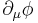 \partial_\mu \phi\;