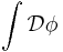 \int \mathcal{D}\phi