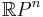  \mathbb{R}P^n