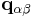 \mathbf q_{\alpha\beta}