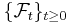 \{ \mathcal{F}_{t} \}_{t \geq 0}