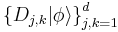  \left\{ D_{j,k} |\phi \rangle \right\}_{j,k=1}^d 