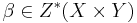 \beta \in Z^{*}(X \times Y)