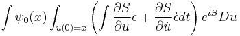 
\int \psi_0(x) \int_{u(0)=x} \left( \int {\partial S \over \partial u } \epsilon %2B { \partial S \over \partial \dot{u} } \dot{\epsilon} dt \right) e^{iS} Du
\,